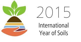 Logo Int. Year of Soils