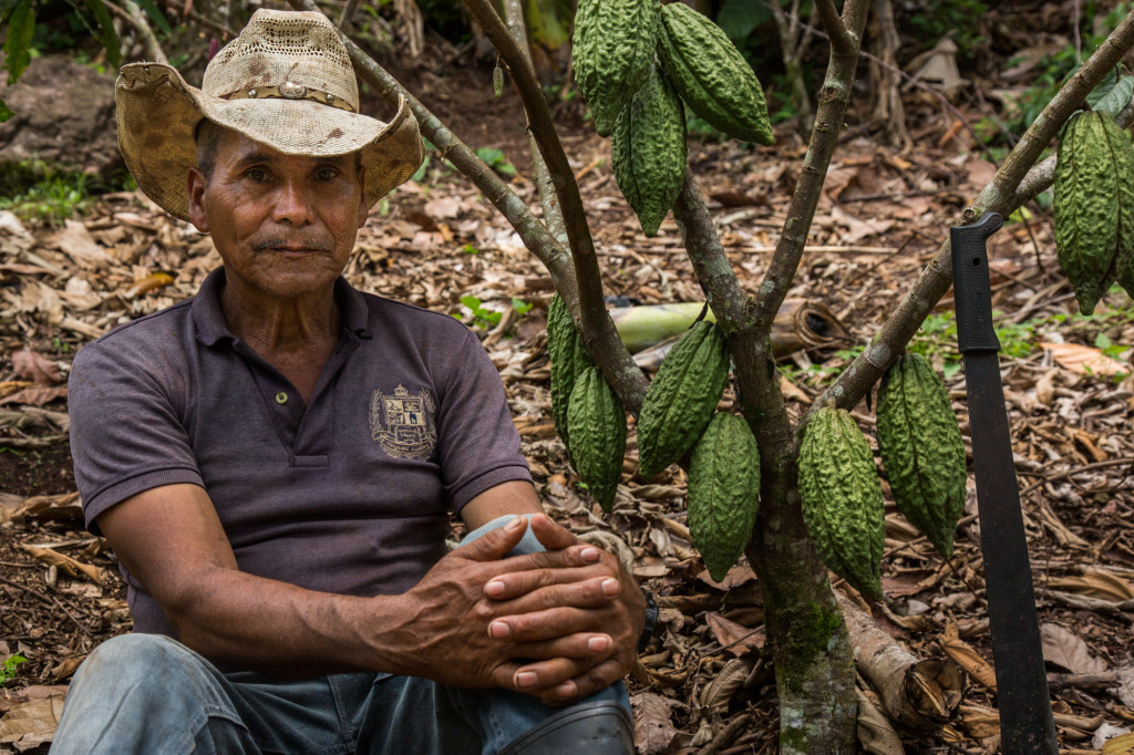 Cocoa farmer Rubén Darío, Jinotega, Nicaragua. Photo courtesy of Ingemann Fine Cocoa.