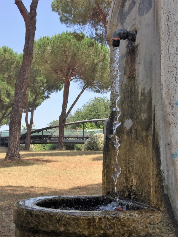 Fountain in Roman park
