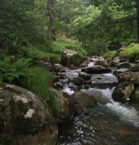 river-in-ireland