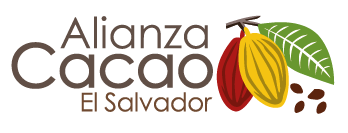 Cacao Agroforestry Systems – A Cost Benefit Analysis