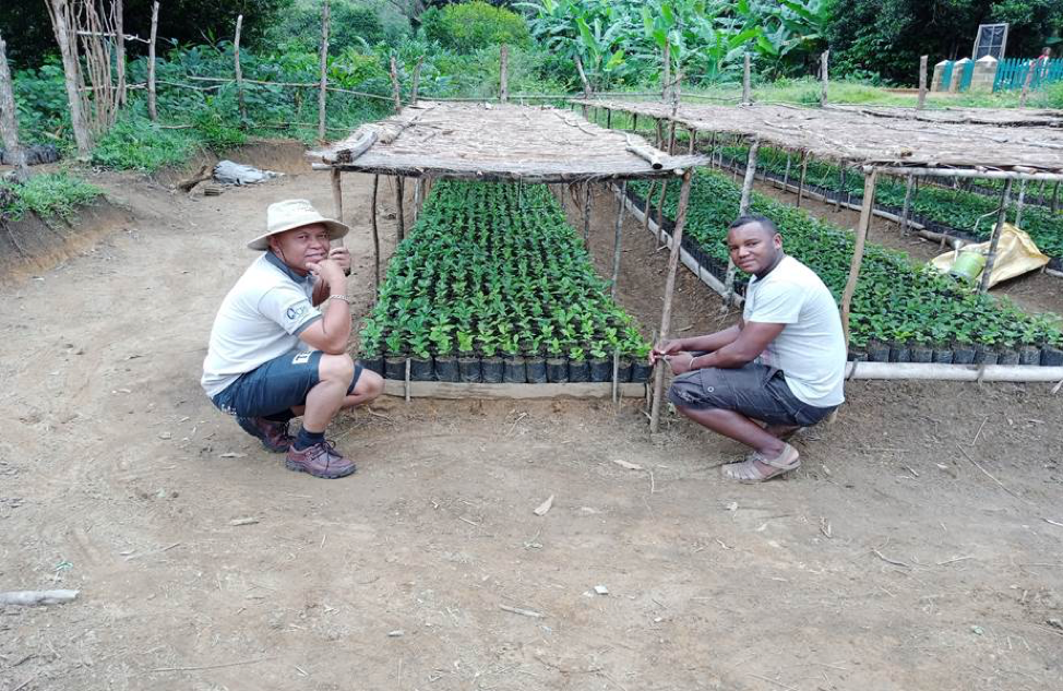 Agroforestry and coffee in Madagascar