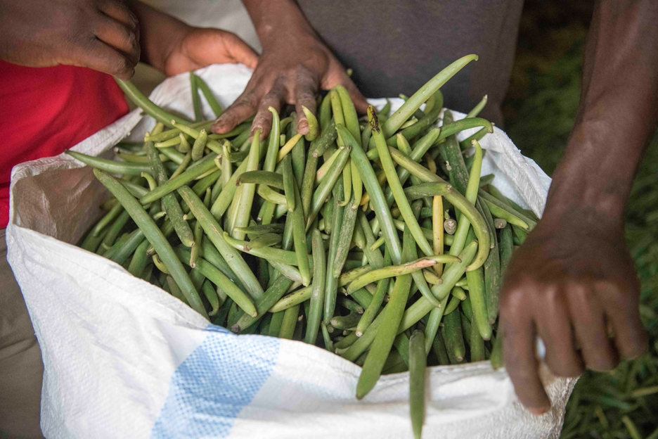 Is sustainable vanilla the flavor of the month?