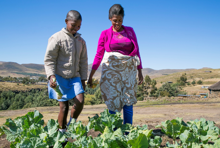 Market Monitoring across the Humanitarian-Development Nexus: Linking the COVID Market & Supply Chain Monitoring Experience in Lesotho to Livelihoods Programming