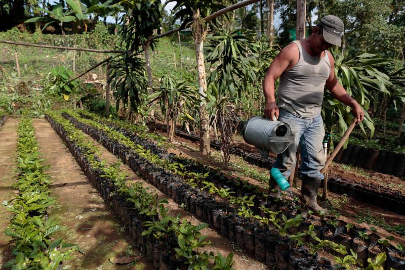 The intimate relationship between farmers, the land and climate